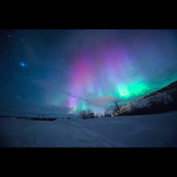 Meet your Posher, Seydi - Picture 1 of 1